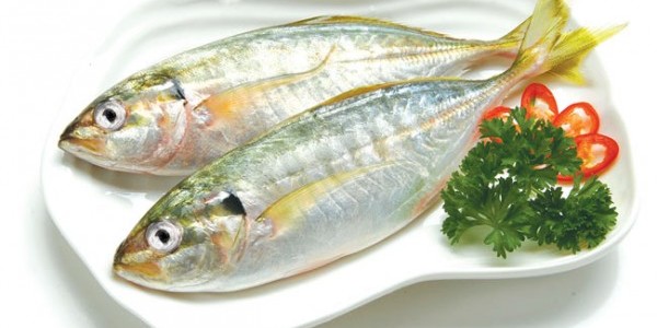 Cách làm cá bạc má kho thơm ngon đúng điệu cho bữa cơm gia đình